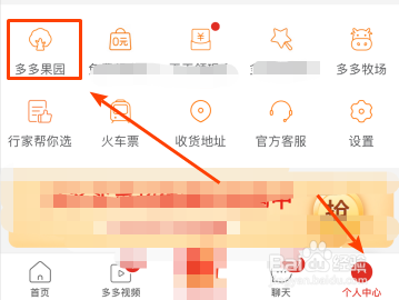 拼多多新手怎么种果树