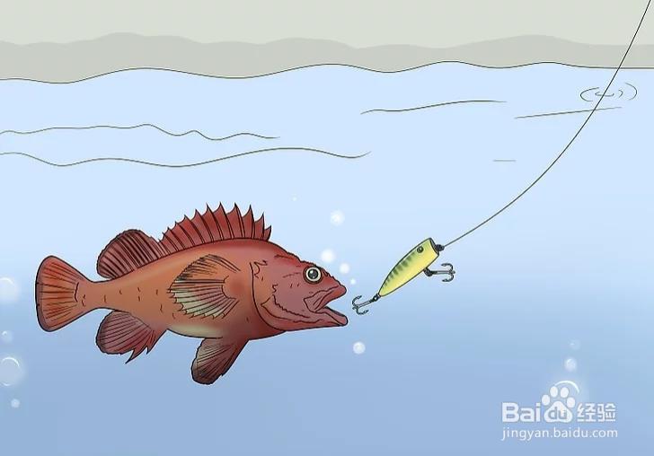怎样才能钓到鱼呢