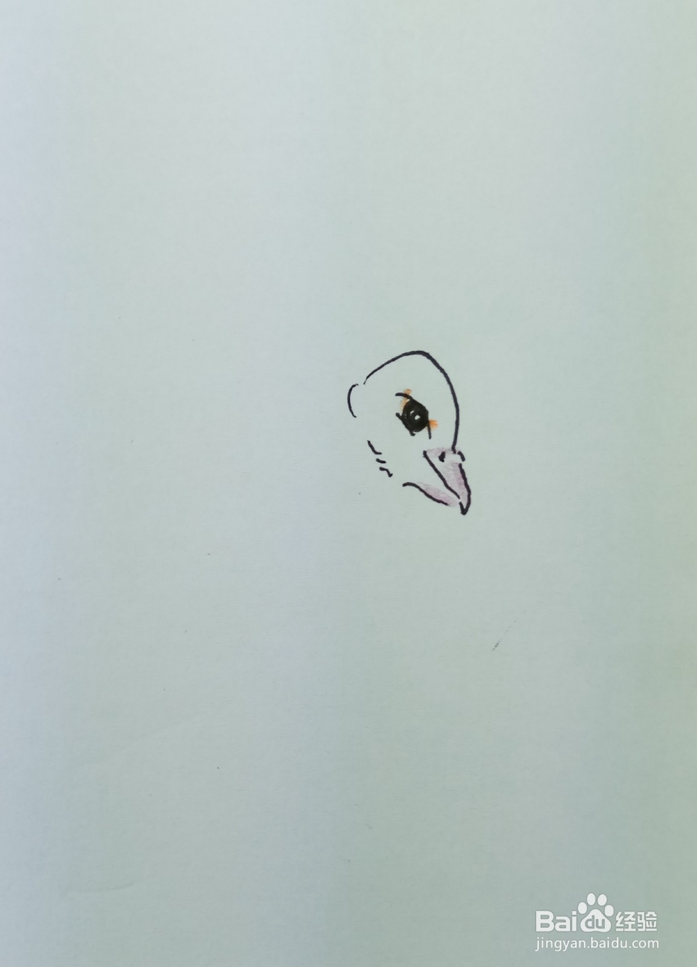 怎样画简笔画晒翅膀的鸽子?