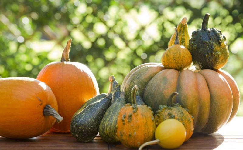 南瓜和土豆能一起吃吗