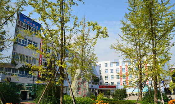 龙泉七中初中和龙泉同安中学初中哪个好