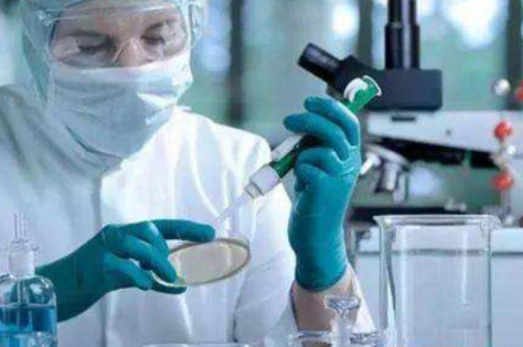 p16+ki67+是什么意思