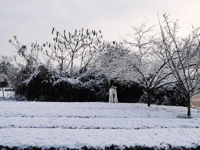 共白头完整版的诗句是什么