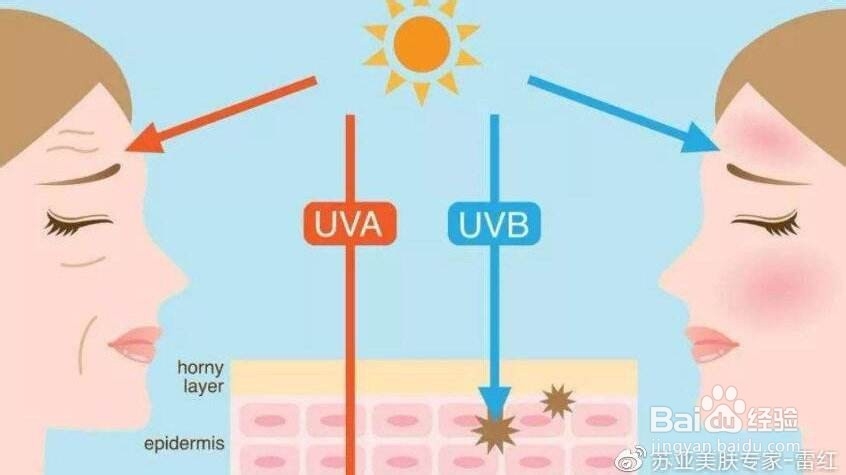 如何让皮肤如牛奶般嫩滑