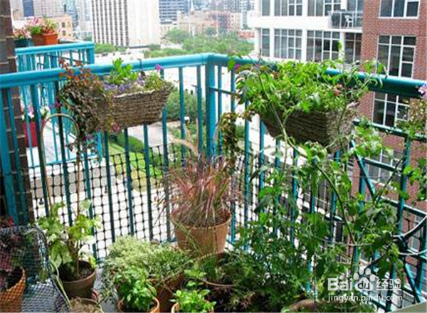 怎么让阳台充满绿意