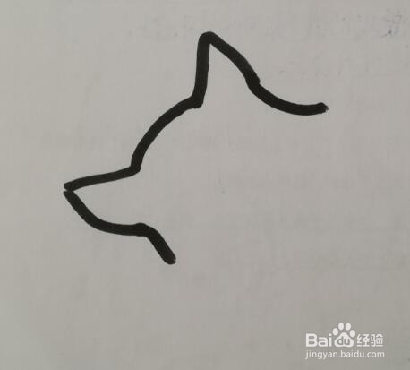 简笔画 如何画一只睡在书上猫