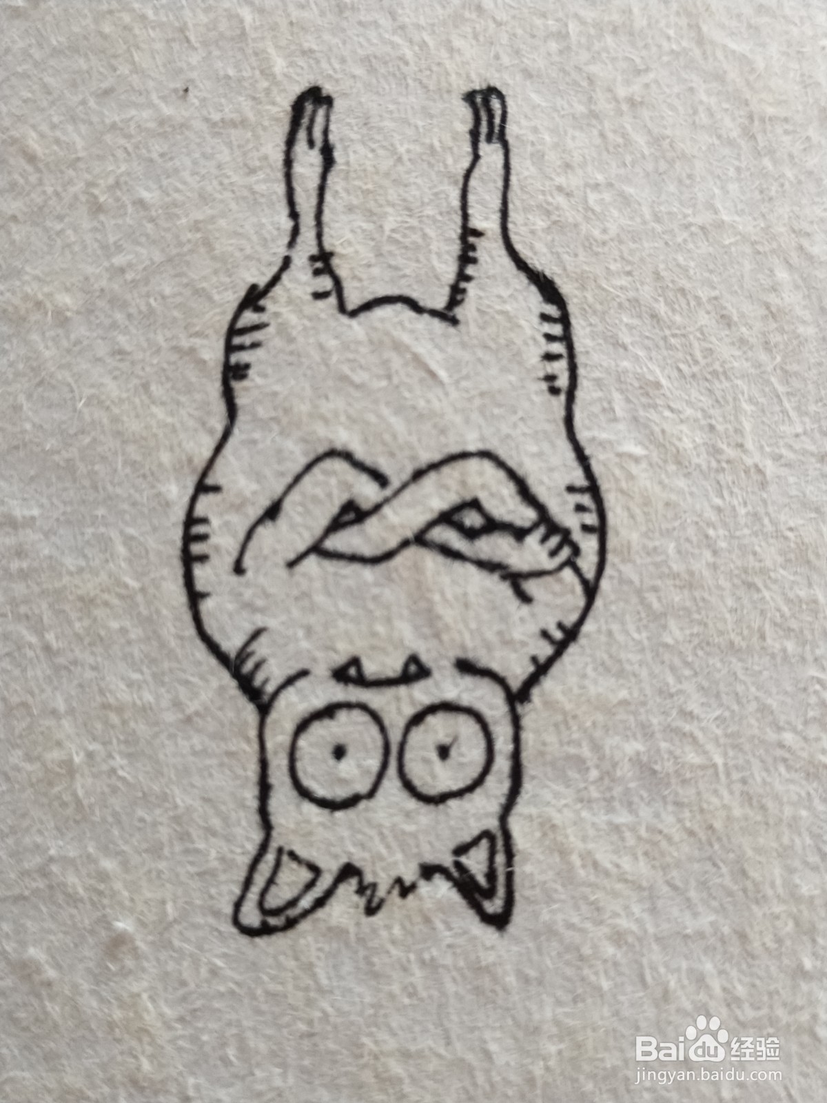 怎么画倒立的蝙蝠简笔画