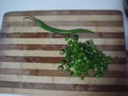 干锅肥肠的做法