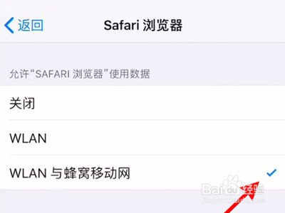 如何打开safari浏览器网络连接