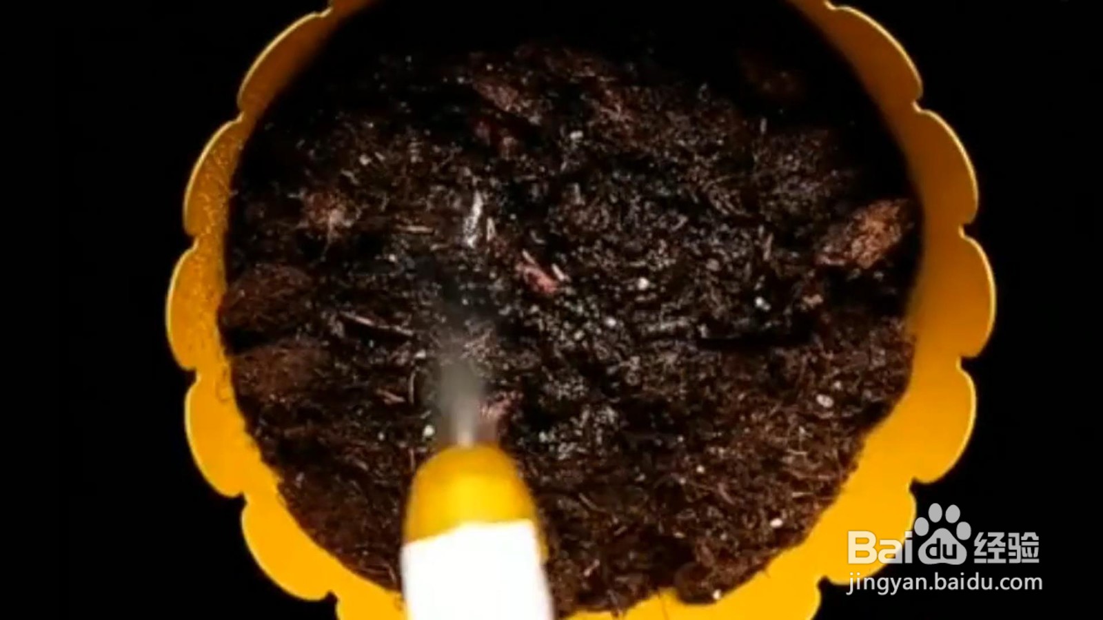 怎样巧用种植小技巧