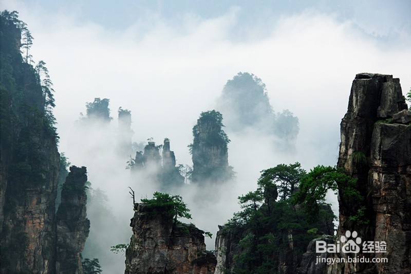 娄底到张家界旅游攻略