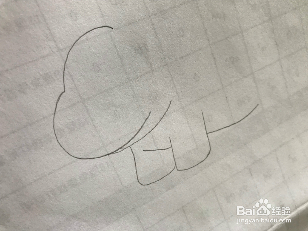 简笔画之大河马