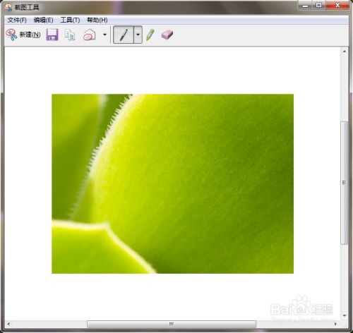 Win7如何利用自带截图工具截图?