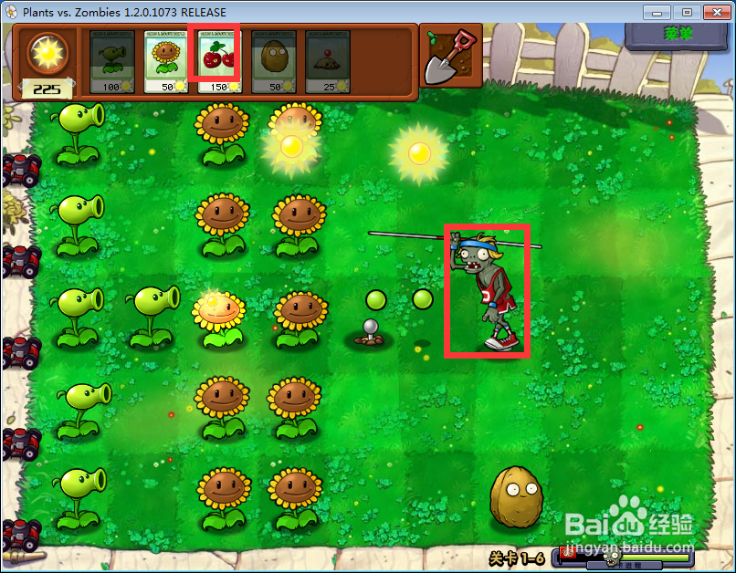 电脑版植物大战僵尸攻略：[6]第六关