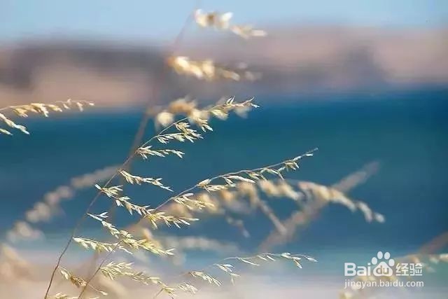 当我们处在迷茫期时,该怎么调整自己