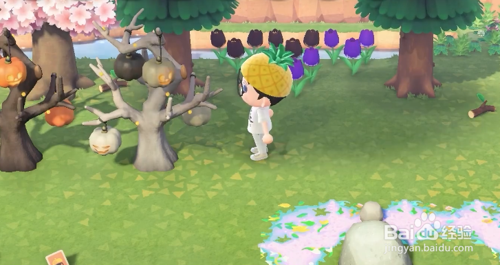 动物森友会万圣节活动时间分享