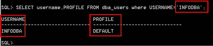 Teamcenter登录时报错ioException，如何解决？