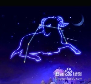 如何让12星座爱上你