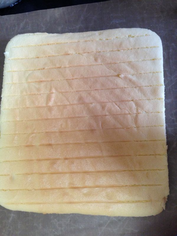 葡萄干戚风蛋糕卷