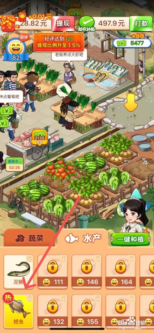 向往的小农院如何在鱼池里养鲤鱼