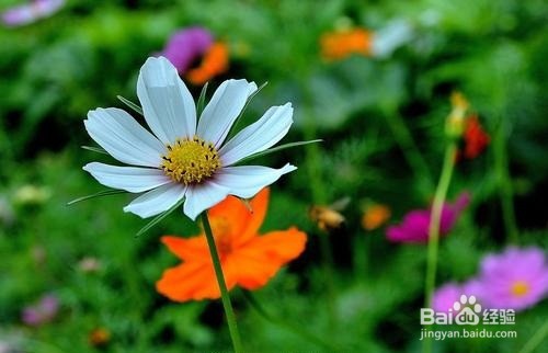 心情沮丧时，如何排解