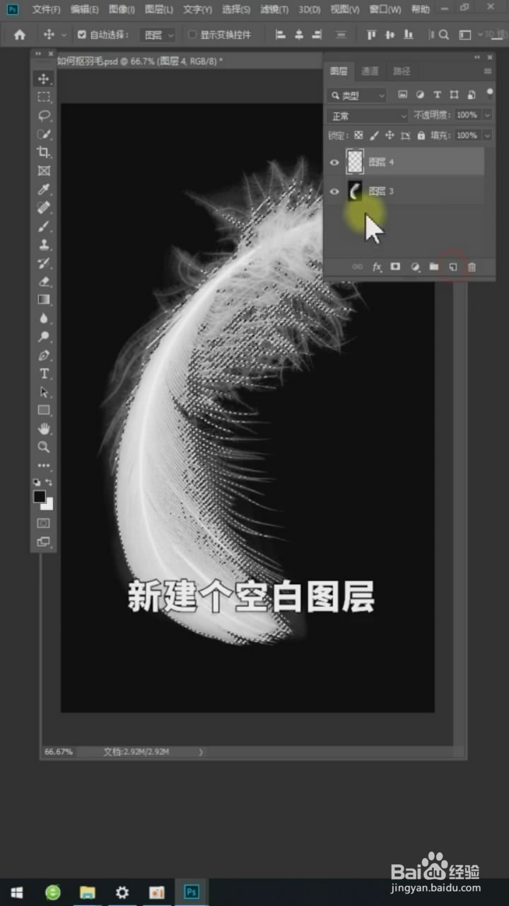 在Ps中如何抠羽毛