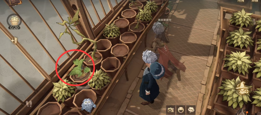 【哈利波特:魔法觉醒】第五期拼图寻宝攻略