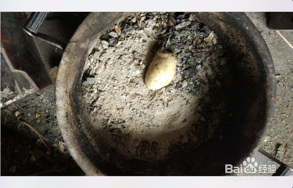 生萝卜仔怎么办