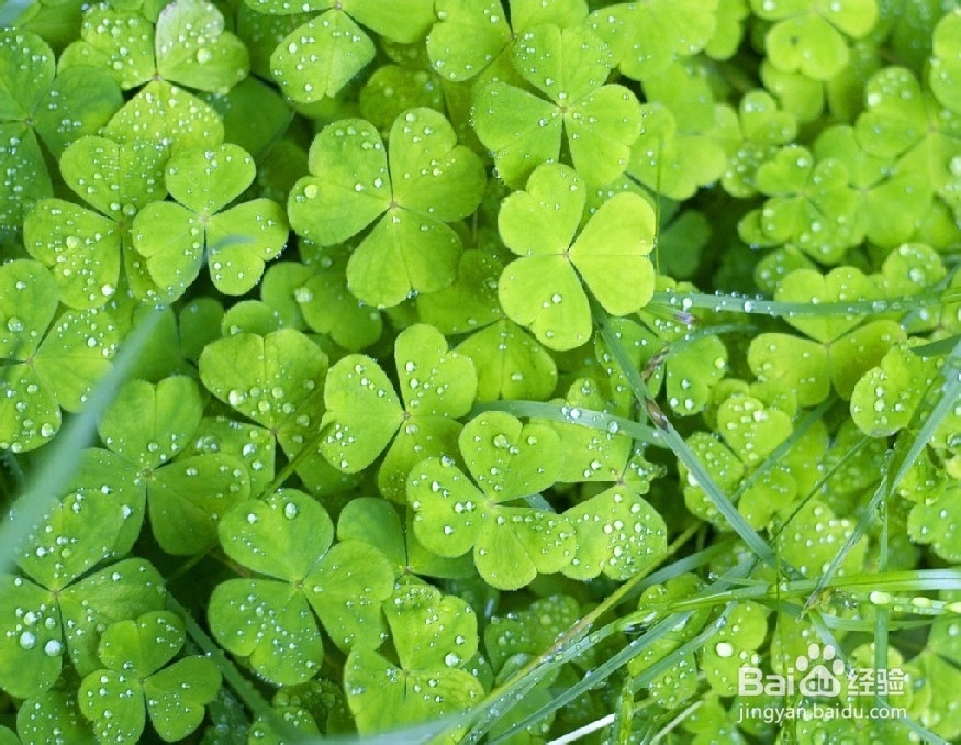 年轻人需做的10件事