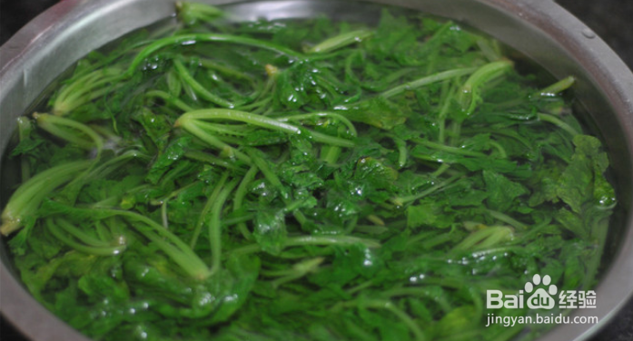 萝卜菜樱子的做法