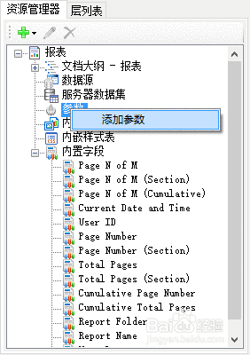 ActiveReports 报表设计器设计不同报表：脚本