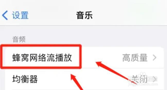 怎么取消iphone蜂窝网络流播放？
