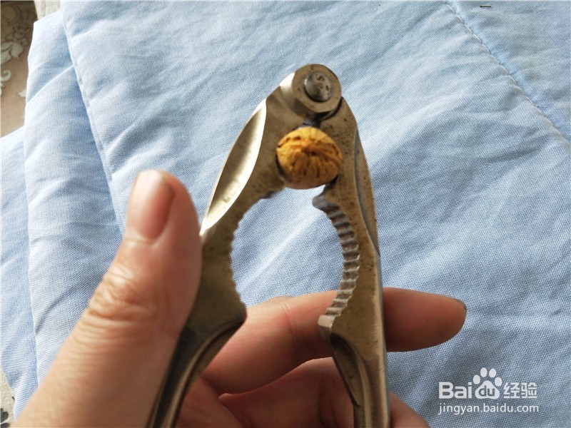 核桃钳子如何轻松快速的打开核桃