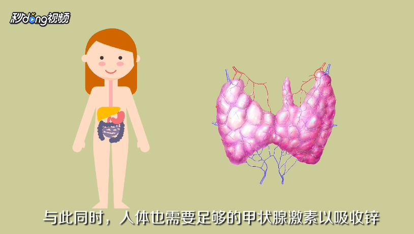 三种食物怎么保护甲状腺