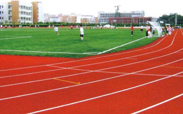 职高 学生会体育部工作总结范文