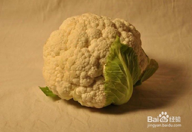 菜花的明暗素描画法(图文)