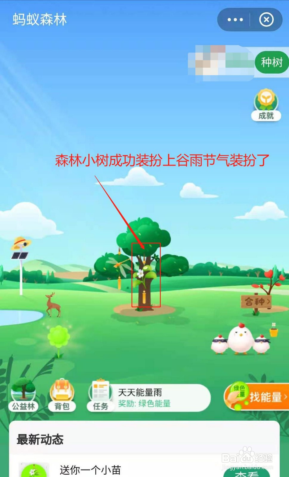 蚂蚁森林小树如何获得谷雨装扮