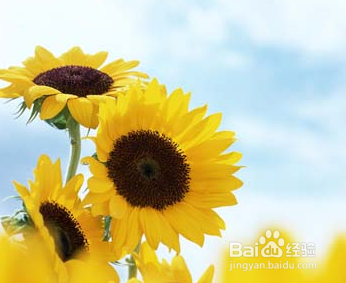 怎样做一个好的学徒,怎样才能从师傅那学到更多