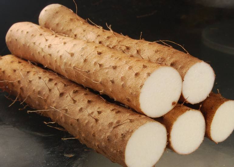 山药半生不熟能吃吗