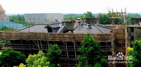 老公房一楼、六楼怎么选?