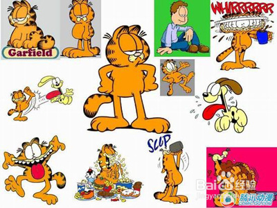 盘点动漫中的十大名猫