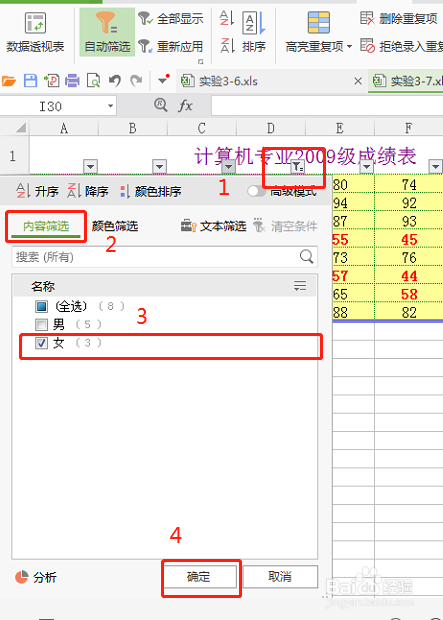 excel表格的筛选工具的应用
