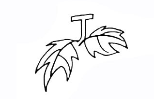 手绘简笔画之葡萄的画法