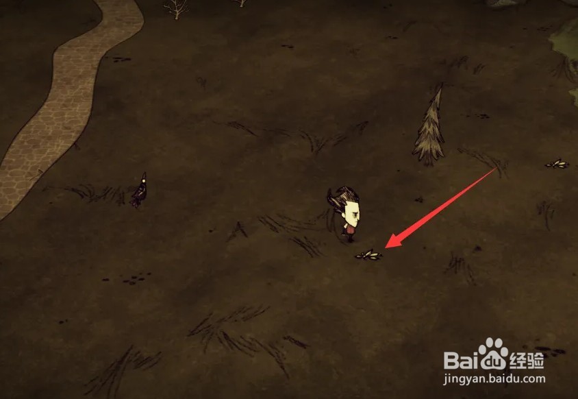 森林种子怎么获得