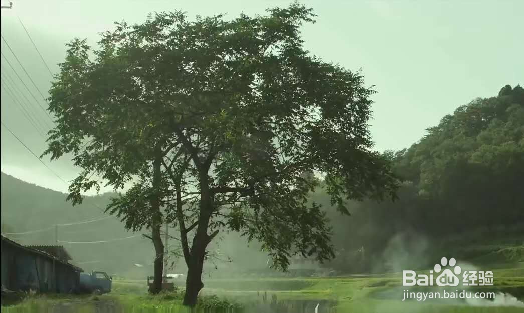 乡间的暑假生活攻略