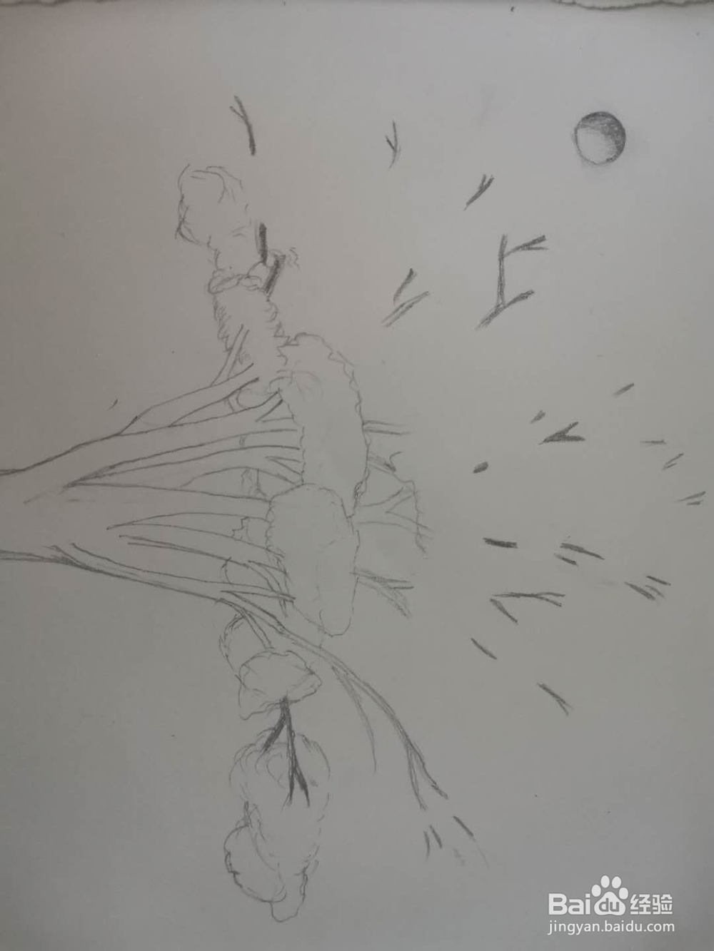 怎样画好一棵树