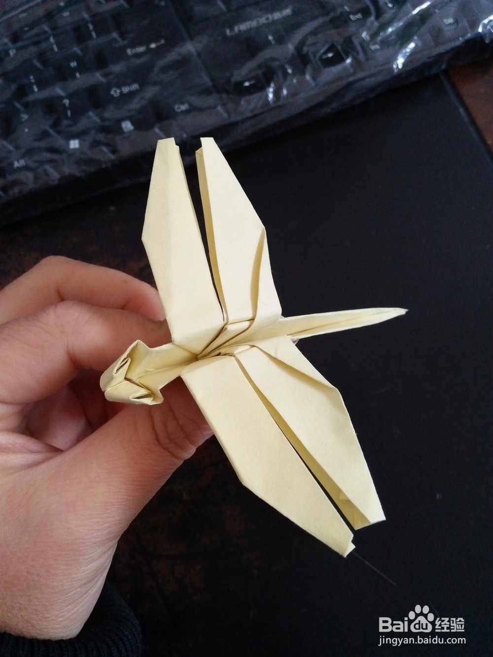 <b>怎么用纸折蜻蜓</b>