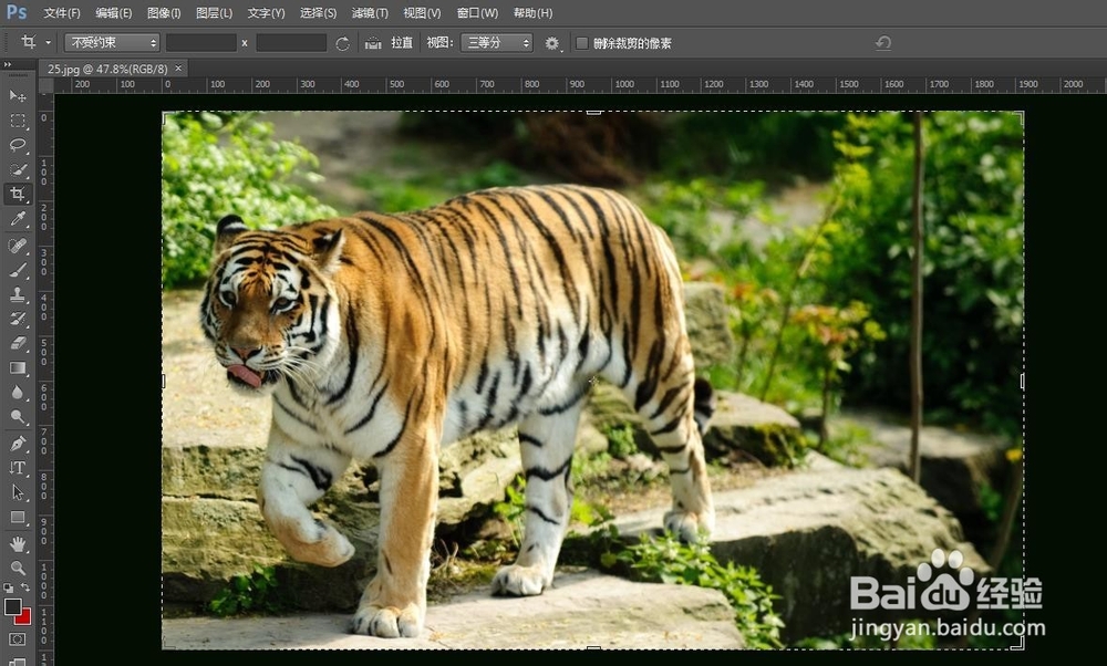 如何利用ps旋转图像？