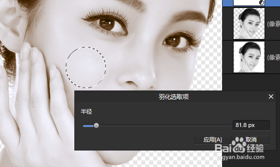 AffinityPhoto怎样给黑白照片上色