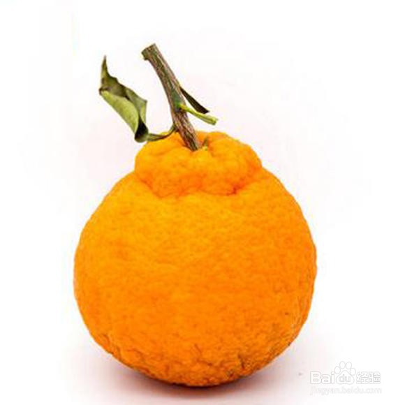 丑橘为什么贵？